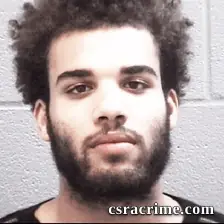 Aaron Johnson booking photo