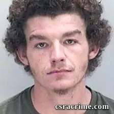 Aaron King booking photo
