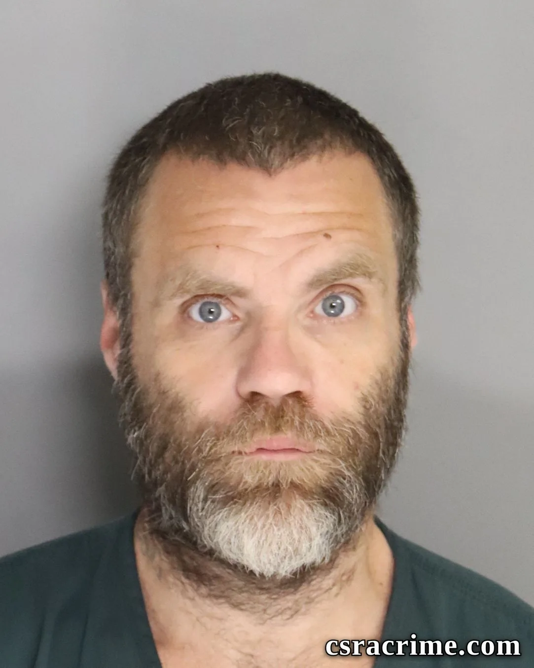 Aaron Prince booking photo