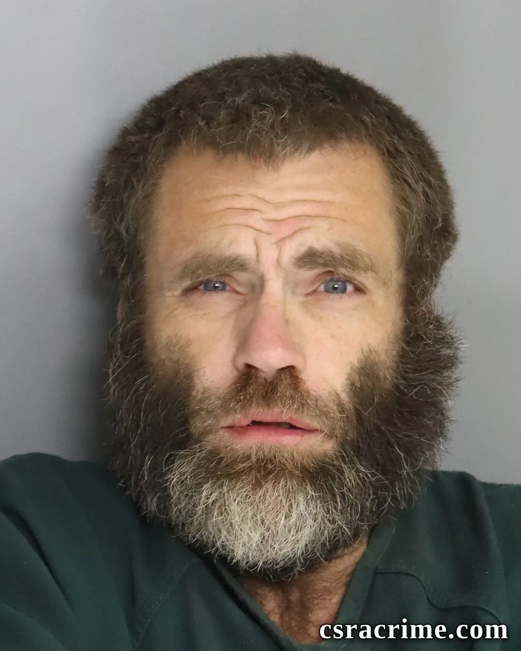 Aaron Prince booking photo