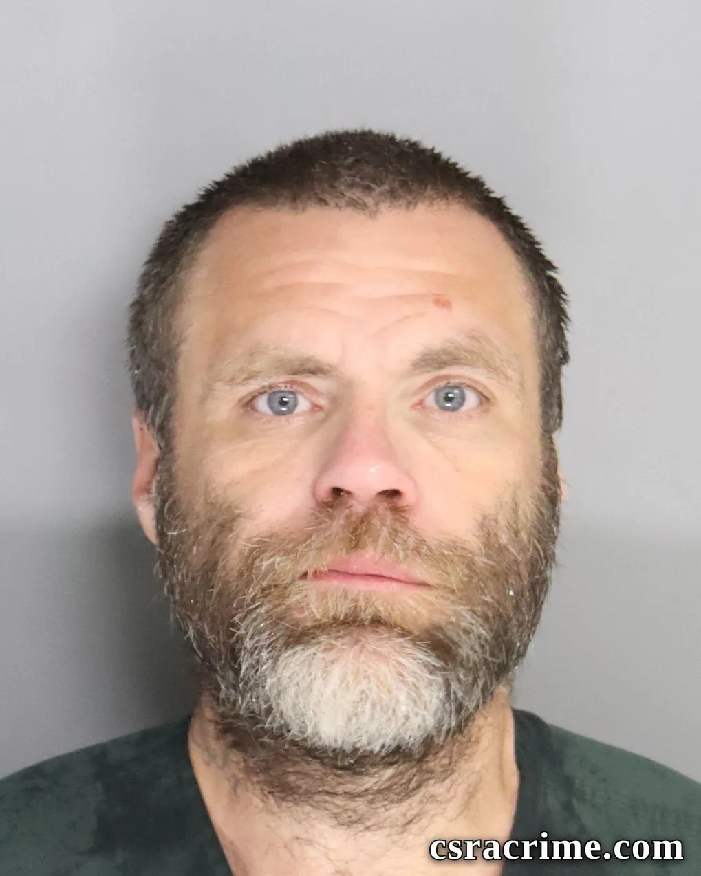 Aaron Prince booking photo