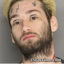 Aaron Steele booking photo