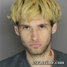 Aaron Steele booking photo