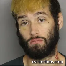 Aaron Steele booking photo