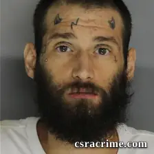 Aaron Steele booking photo