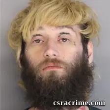 Aaron Steele booking photo