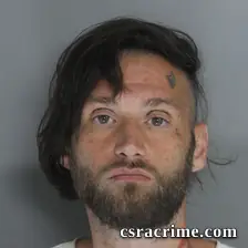 Aaron Steele booking photo