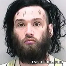 Aaron Steele booking photo