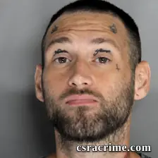 Aaron Steele booking photo