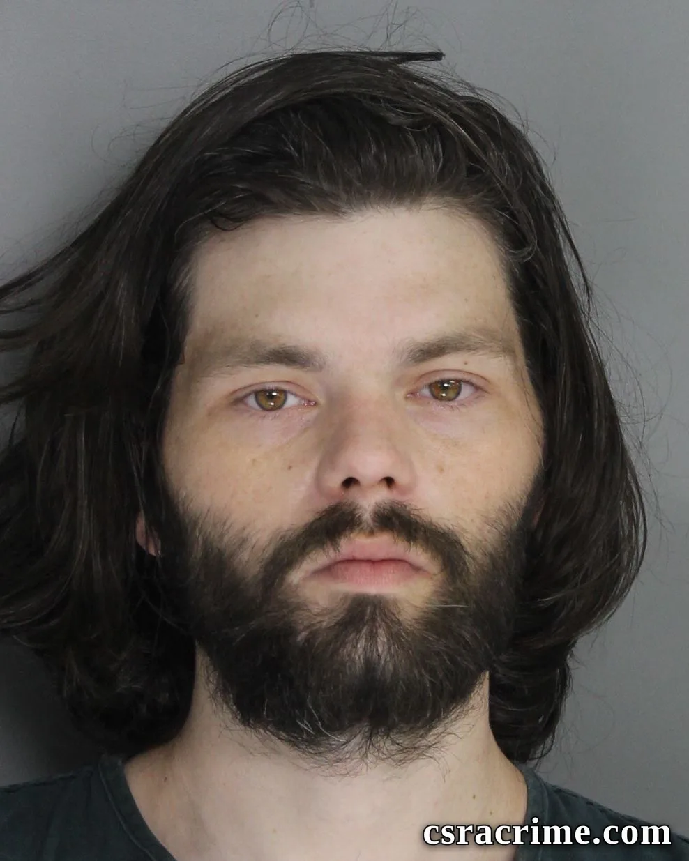 Aaron Walker booking photo
