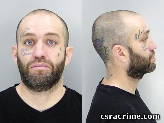 Aaron Wolfe booking photo