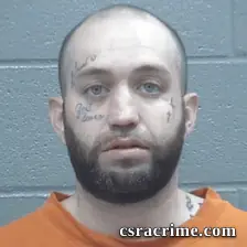 Aaron Wolfe booking photo