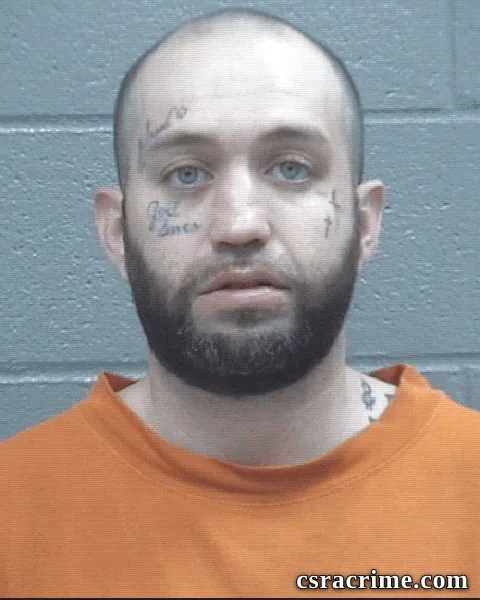 Aaron Wolfe booking photo