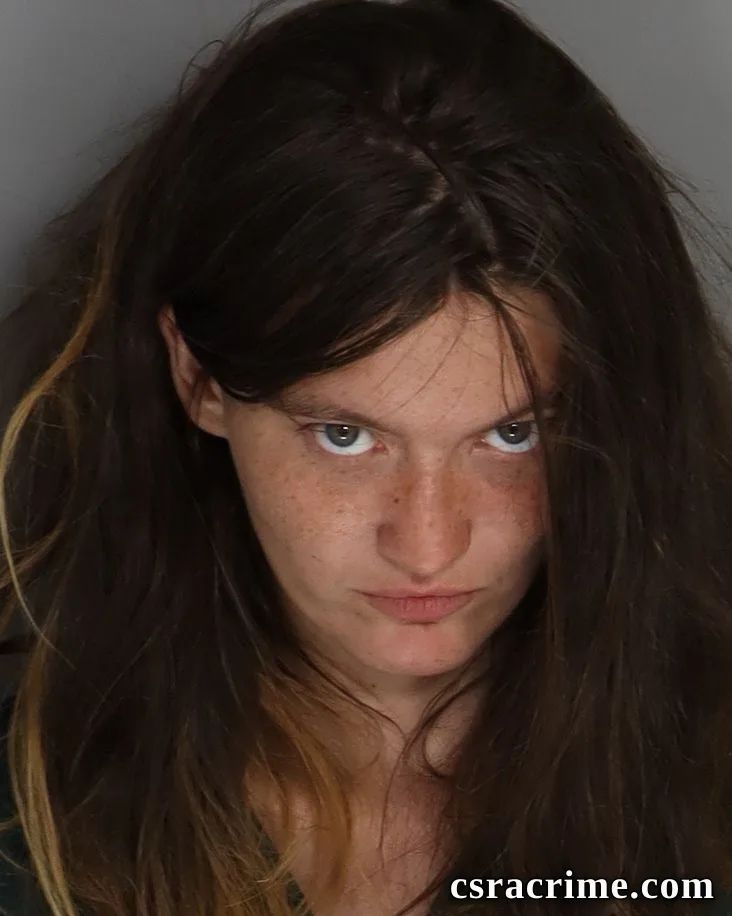 Abigail Hunt booking photo