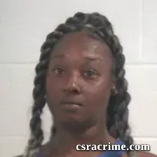 Aceondra Porshay Williams booking photo