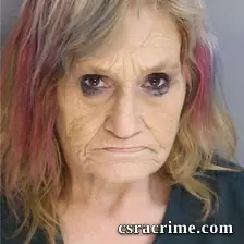 Ada Yaun booking photo