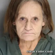 Ada Yaun booking photo