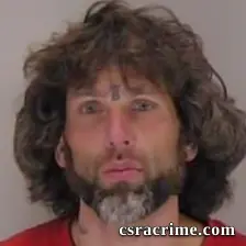 Adam Lind Fernandes booking photo