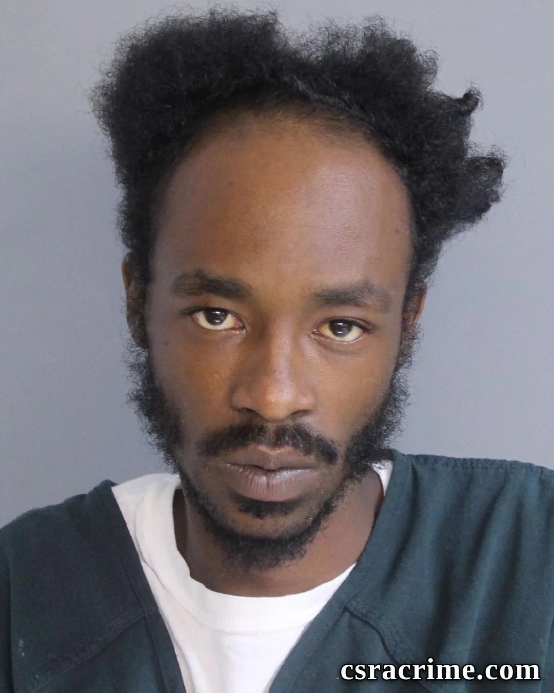Adrain Washington JR booking photo