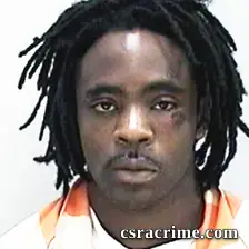 Adrian Hollins booking photo