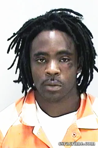 Adrian Hollins booking photo