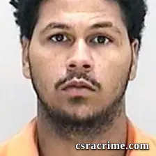 Adrian Lowe booking photo