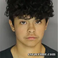 Adriana Mendoza booking photo