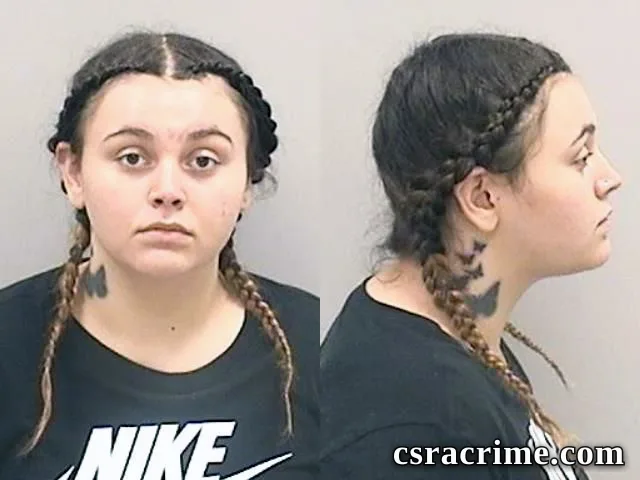Adrianne Hilton booking photo