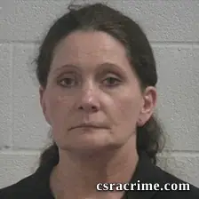 Adrianne Paulette Rangel booking photo