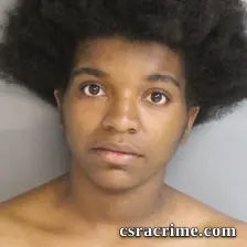 Adriauna Holston booking photo