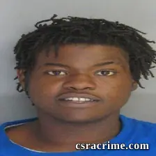 Adrienne Roberson booking photo