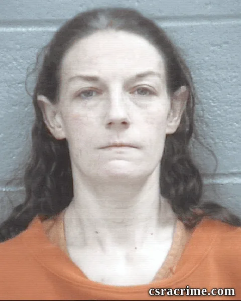 Ahsley Meyer booking photo