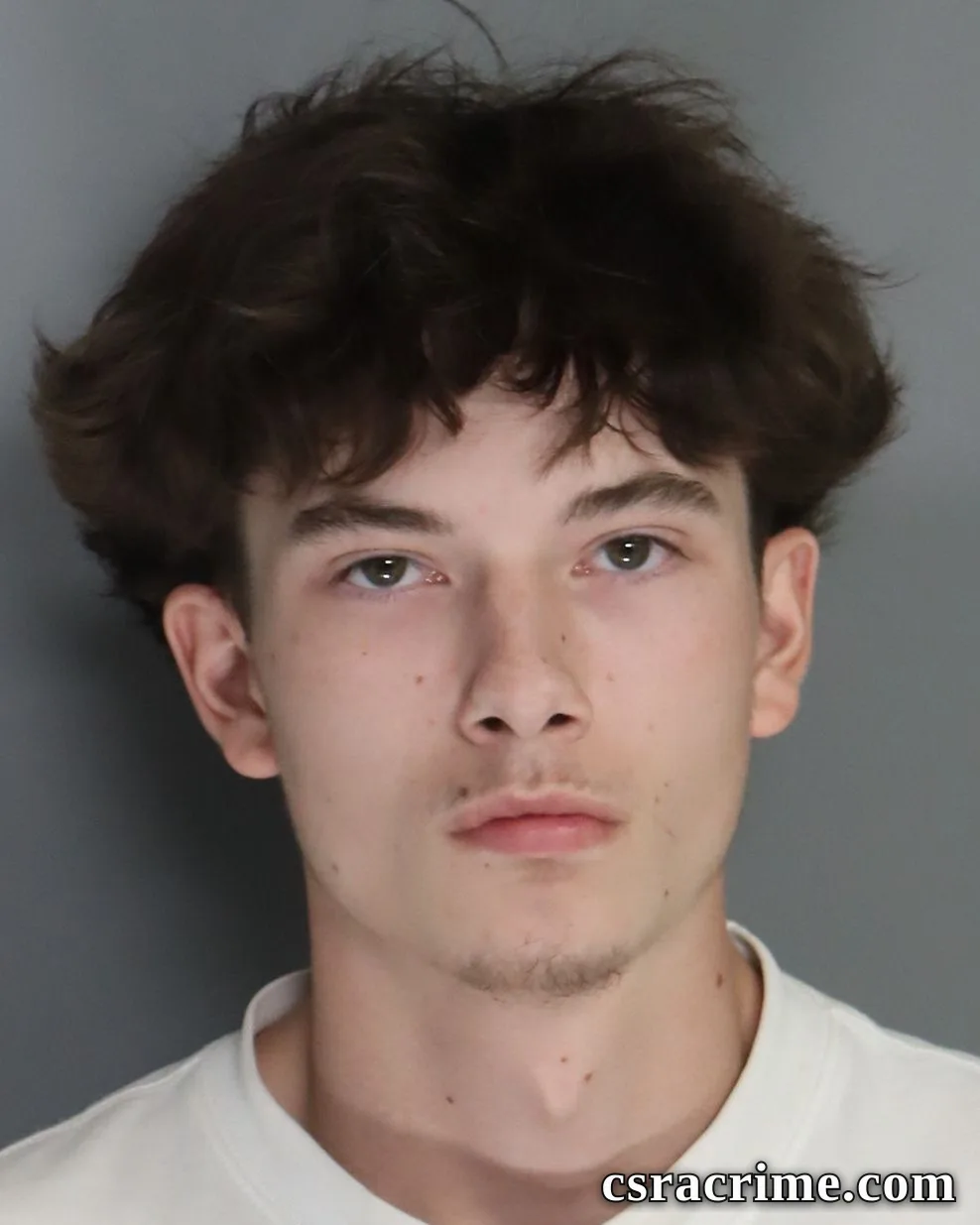 Aiden Nguyen booking photo