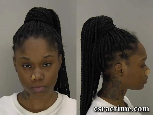Akasha Johnson booking photo