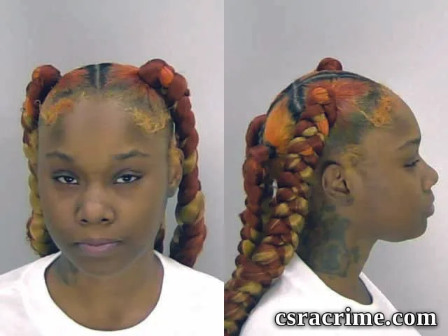 Akasha Johnson booking photo