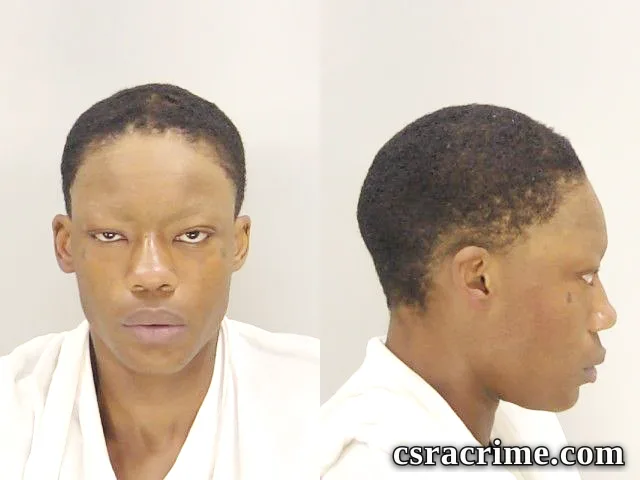 Alana Scott booking photo
