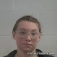 Alanta Lyn Hanson booking photo