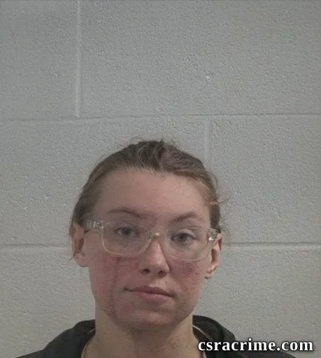 Alanta Lyn Hanson booking photo