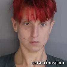 Alayna Taylor booking photo