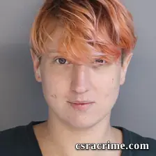 Alayna Taylor booking photo