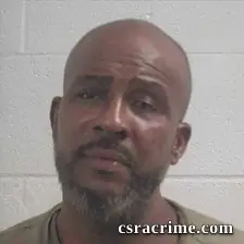 Alcyone Delon Brown booking photo