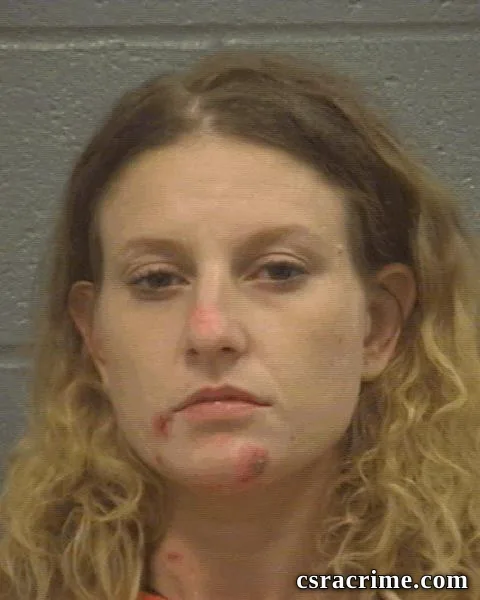 Aleah Sheets booking photo