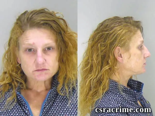 Aleah Sheets booking photo