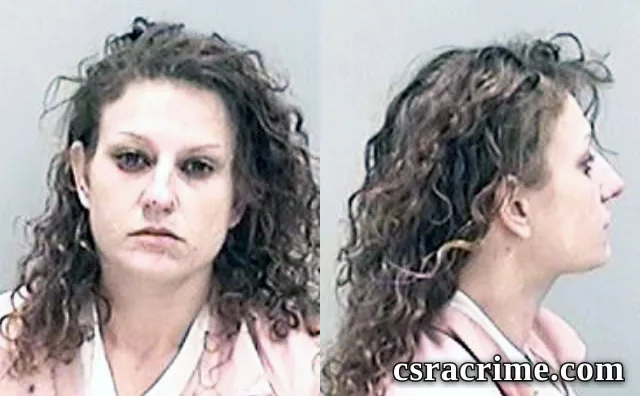 Aleah Sheets booking photo
