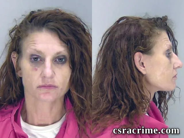 Aleah Sheets booking photo