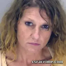 Aleah Sheets booking photo