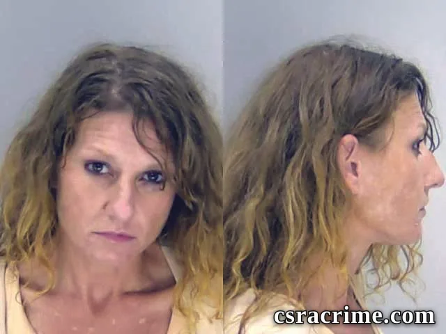 Aleah Sheets booking photo