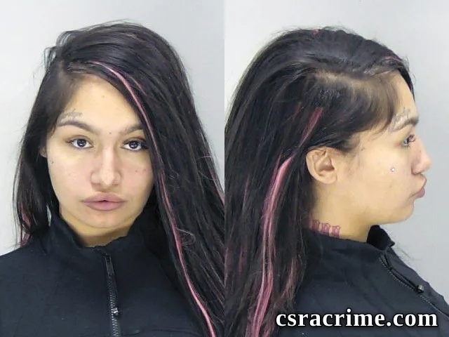 Alejandra Stapp booking photo
