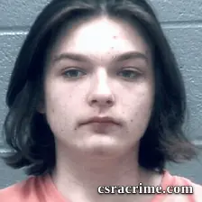 Alek Schiller booking photo