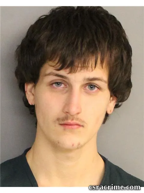 Alex Robinson booking photo